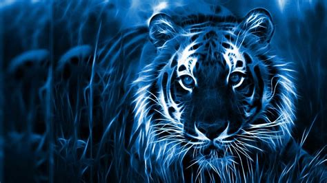3D 1920x1080 Resolution Wallpapers Laptop Full HD 1080P.